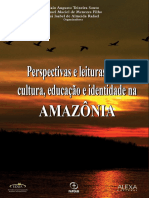 Perspectivas Ebook