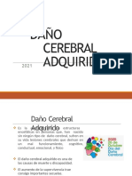 Daño Cerebral Adquirido