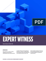 Expert Witness