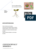 Clase 5 Biologia