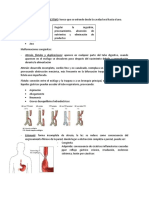 Patologia Del Tubo Digestivo