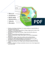 Membran Sel Berfungsi Melindungi Isi Sel