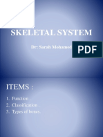 Skeletal System +