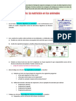 Consignas SD Nº2 Nutricion en Animales