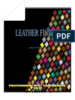 Leather Finishing 2017