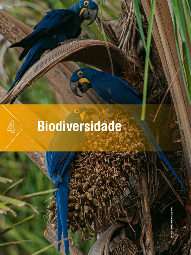 Importância da Biodiversidade no Brasil | PDF