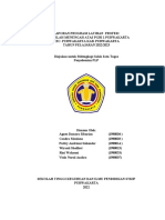 Laporan Program Latihan Profesi Pbi2022 (Autorecovered)