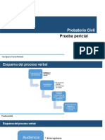 Clase II Prueba Pericial