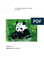 Proyecto de Oso Panda