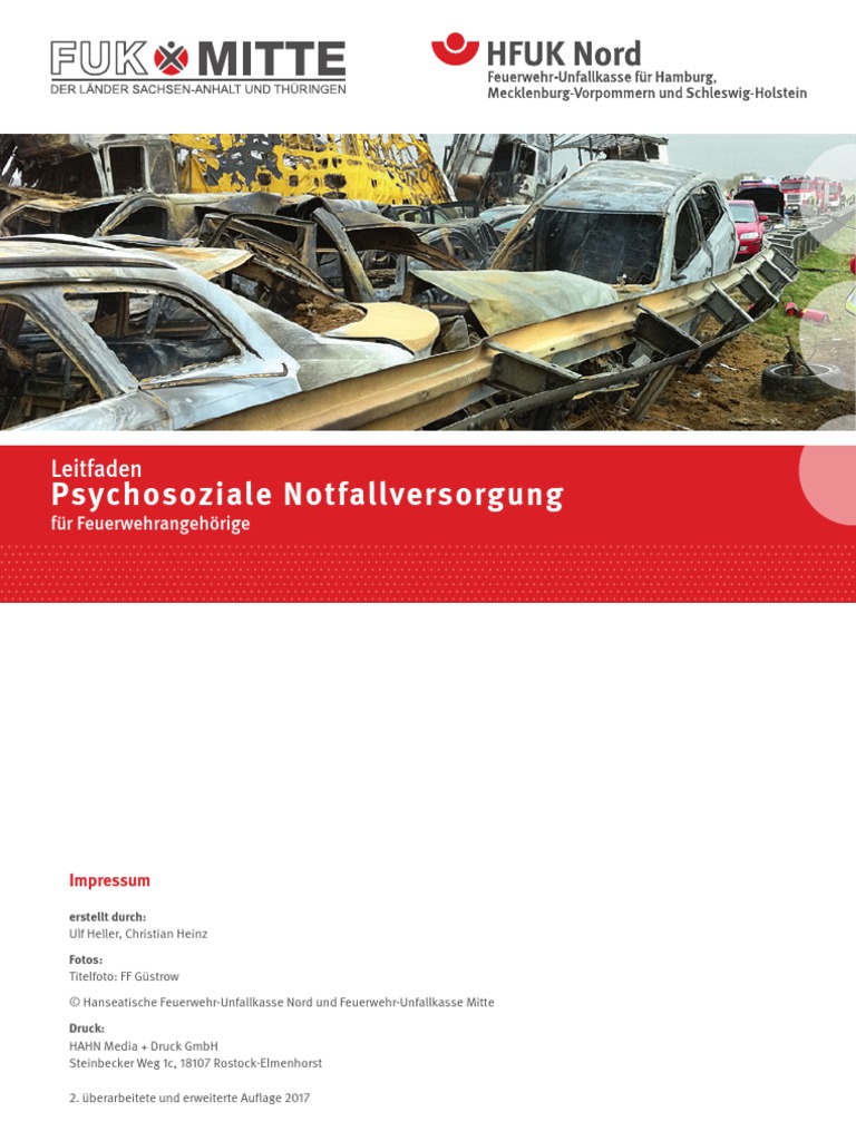 Leitfaden PSNV 2016 Final | PDF