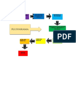 Organigrama y Flujograma