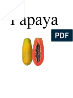 Papaya Productos