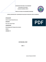 Informe de Metodologia Dia Del Ambiente