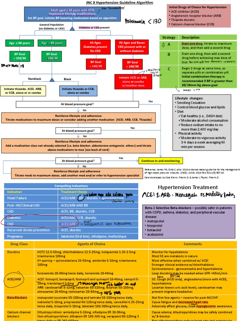 JNC 8 Hypertension Treatment Algorithm | PDF | Hypertension | Diabetes