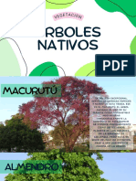 Arboles Nativos