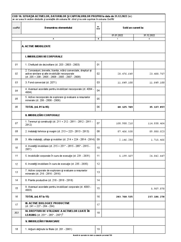 Bilant 2022 | PDF