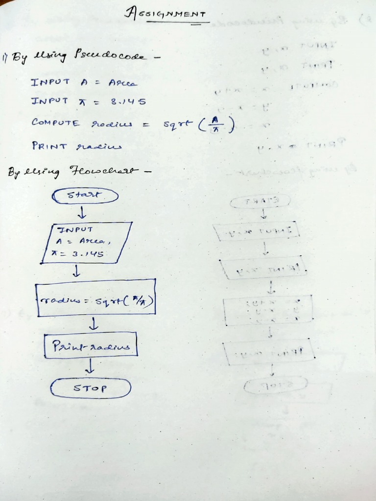 CDS Assignment algorithm flowchart PDF