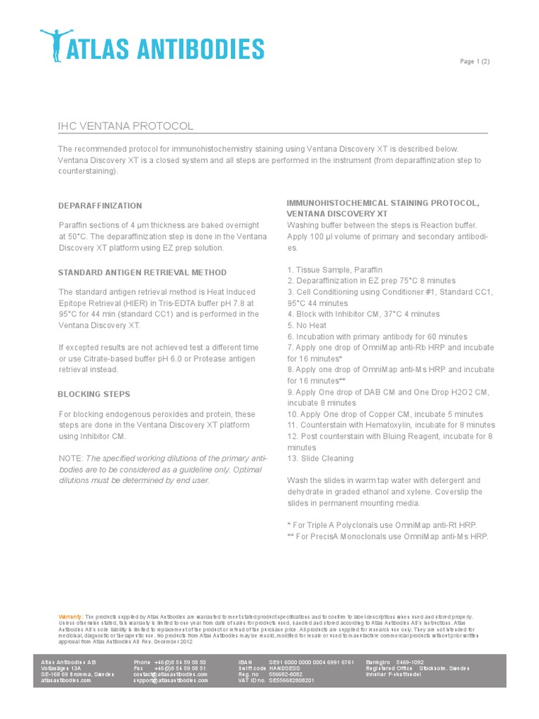 Ihc Ventana Protocol | PDF
