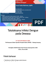 Dengue 2023 - Lampung