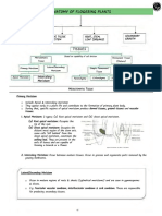 Anatomy of The Flowering Plants PW Notes