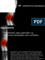 Appendicitis Akut Radiologi