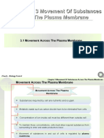 Chapter 3 Movement Of Substances Across The Plasma Membrane