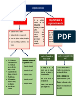 Organizacion Escolar