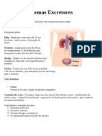 Resumo Ciencias