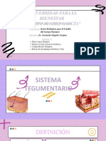 Sistema - Tegumentario EXPO 3