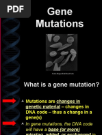 Virtual Lab-Point Mutations | PDF | Point Mutation | Mutation