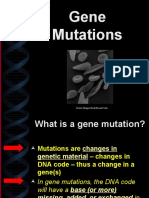 Genemutationsppt 111110091801 Phpapp01