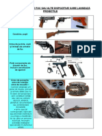 Pistoale Arme de Foc Sau Alte Dispozitive Care Lanseaza Proiectile