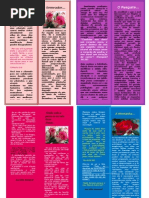 Lucélia Amaral - Planfeto