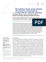 Elife - Paxillin Facilitates Timely Neurite Initiation