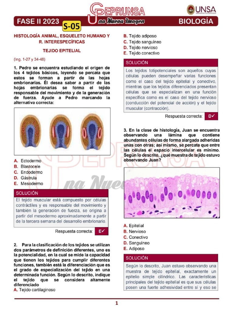 S - 05 Biología Ingenieria Ceprunsa 2da Fase | PDF
