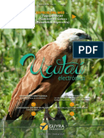 REVISTA URUTAÚ 9a12a Edicion 2019 B