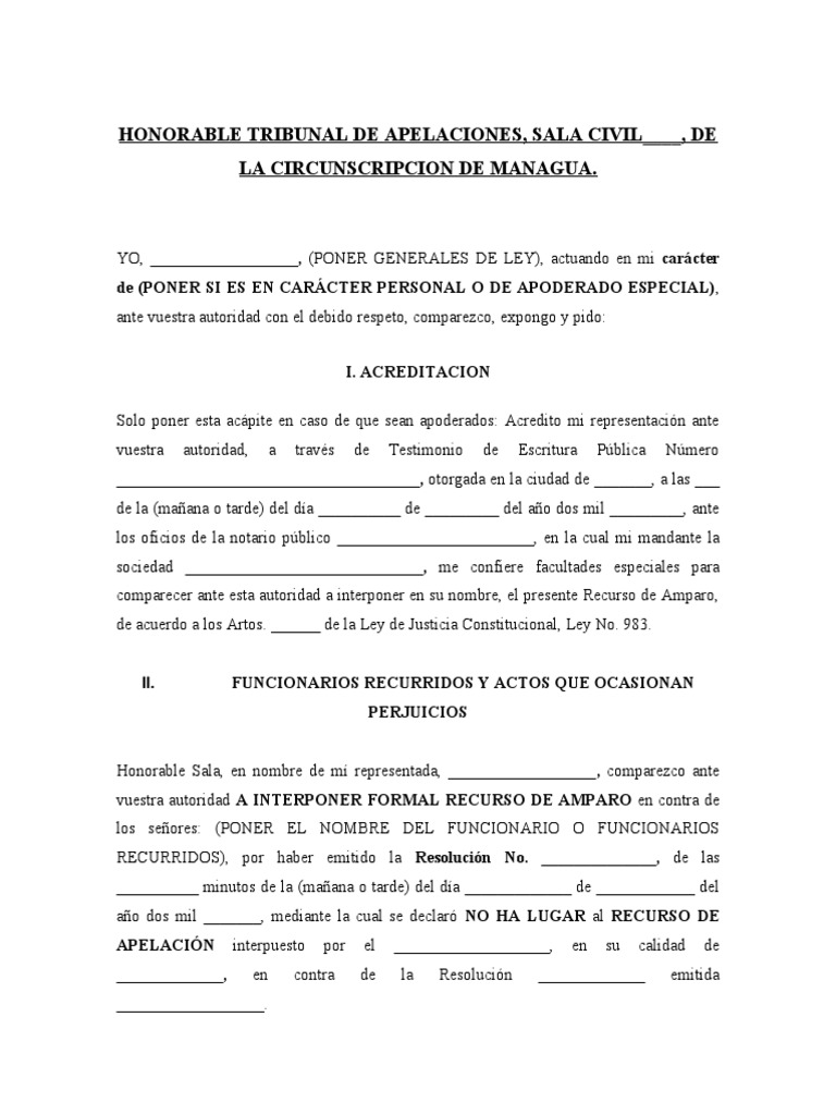 Recurso de Amparo Modelo | PDF