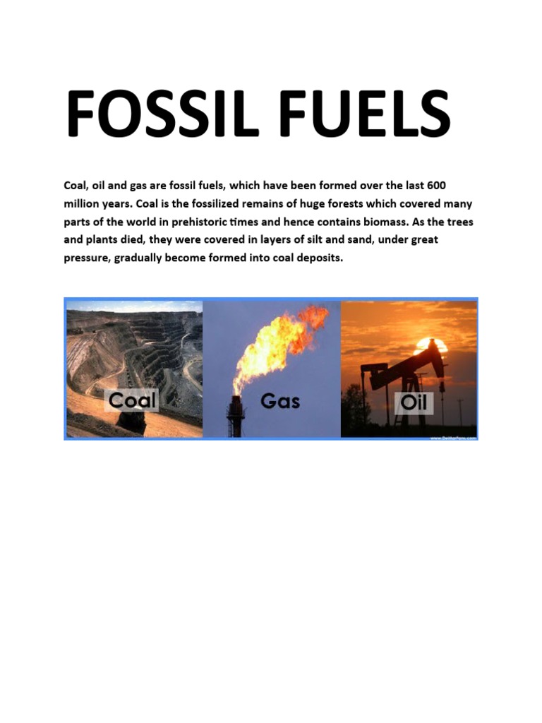 FOSSIL FUELS PDF