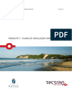 6 - Plano de Circulação Viária - Relatório Prévio