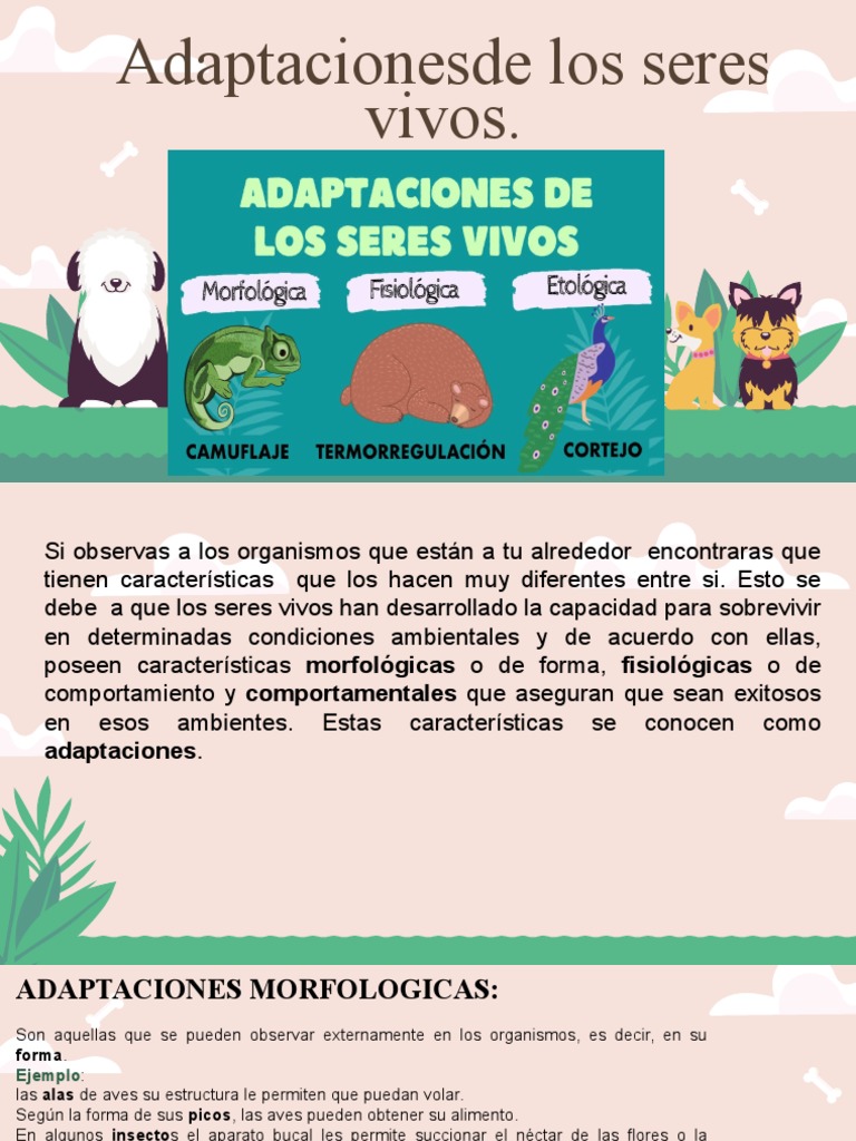 Adaptaciones morfológicas y comportamentales | PDF | Aves | Organismos