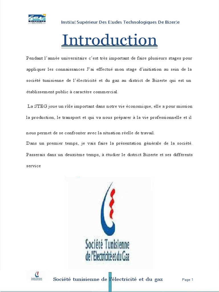 Rapport de stage à la STEG Bizerte | PDF
