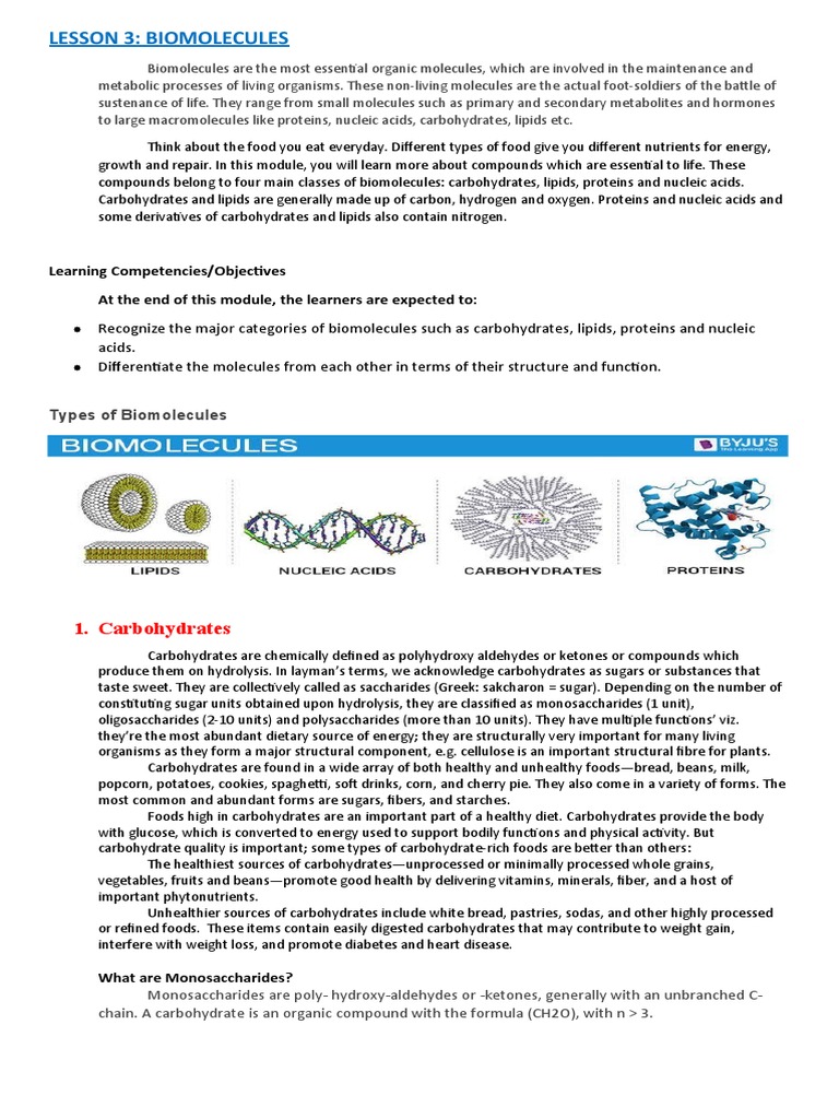 Overview of Biomolecules and Their Classes | PDF | Carbohydrates | Proteins