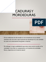 Picaduras y mordeduras