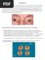 Entropio y Ectropion RRR | PDF | Oftalmología | Músculo esquelético
