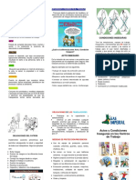 Triptico de Actos y Condiones Inseguras