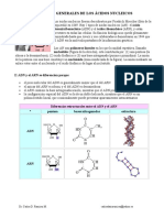 Acidos Nucleicos