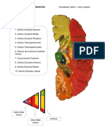 Irrigacion PDF