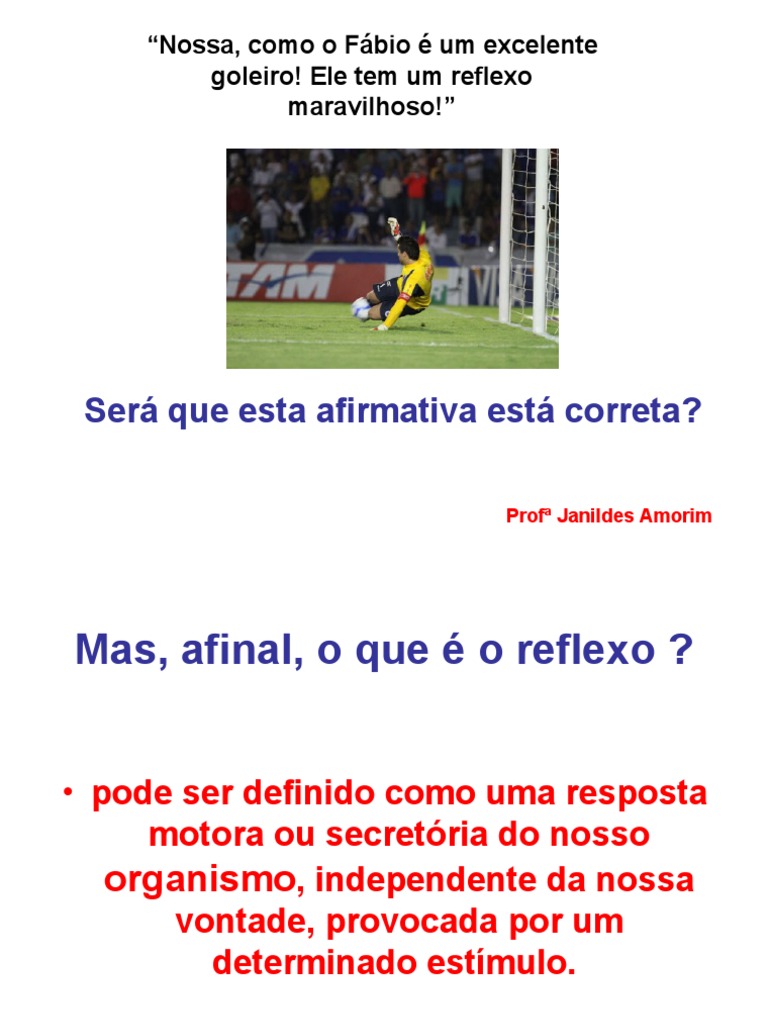 Reflexo Aula Pratica | PDF | Anatomia animal | Neurociência