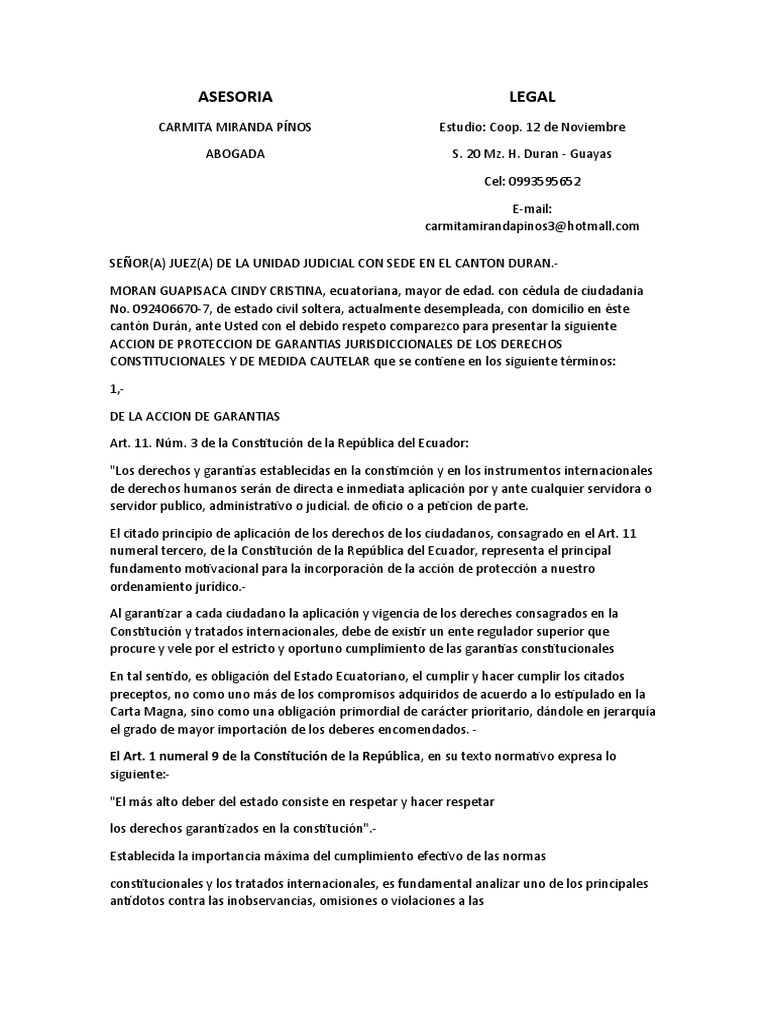 Acción de Protección Derechos Ecuador | PDF | Derecho Constitucional ...