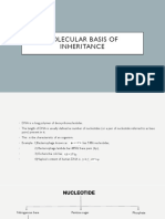 Chapter 6 Molecular Basis of Inheritance